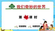 语文三年级下册22 我们奇妙的世界精品ppt课件