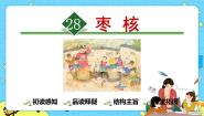 小学人教部编版 (五四制)28* 枣核优质课课件ppt
