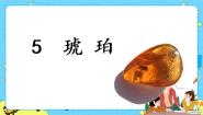 人教部编版 (五四制)四年级下册5 琥珀优秀课件ppt