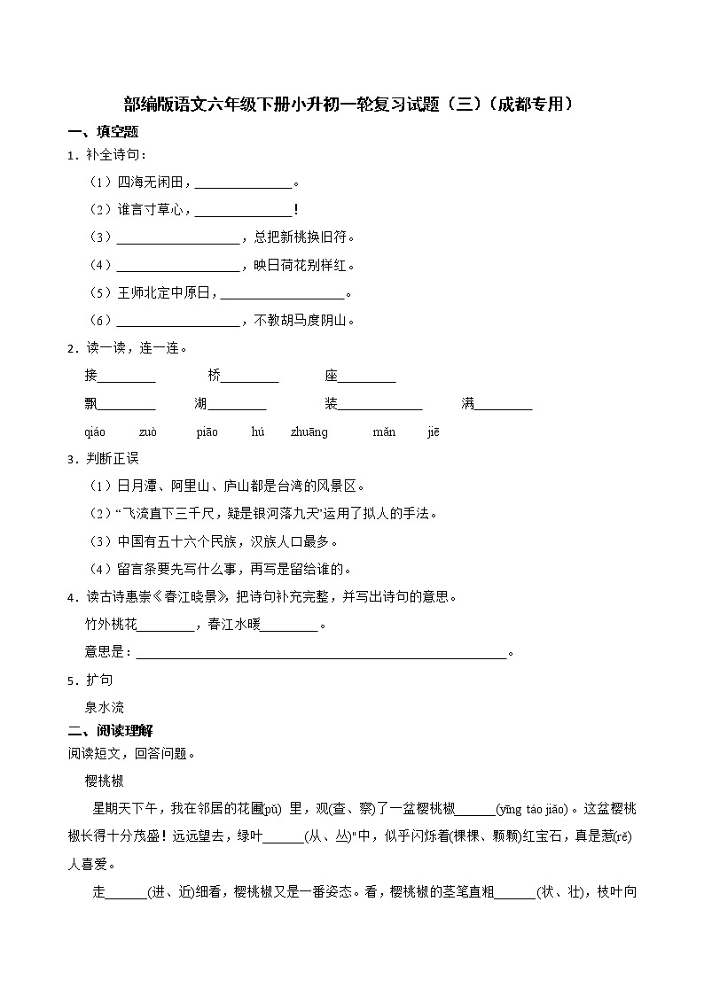 部编版语文六年级下册小升初一轮复习试题(三)(成都专用)第1页
