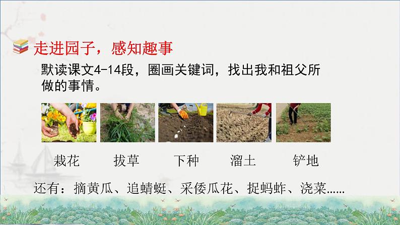 2.祖父的园子 第二课时第3页