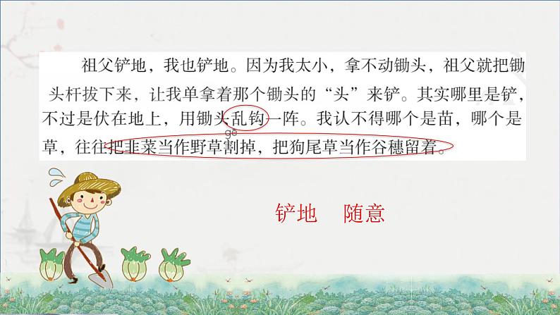 2.祖父的园子 第二课时第6页