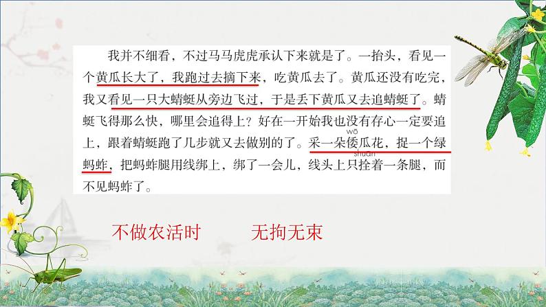 2.祖父的园子 第二课时第8页