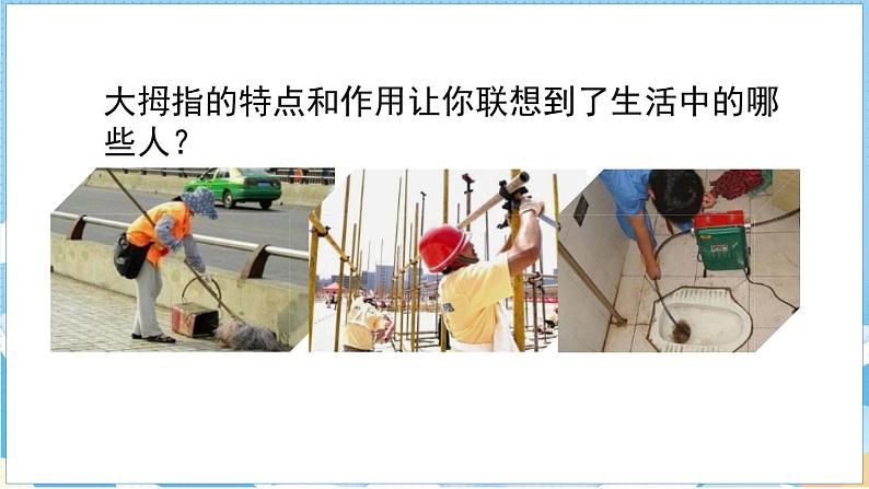 22.手指  第二课时第6页