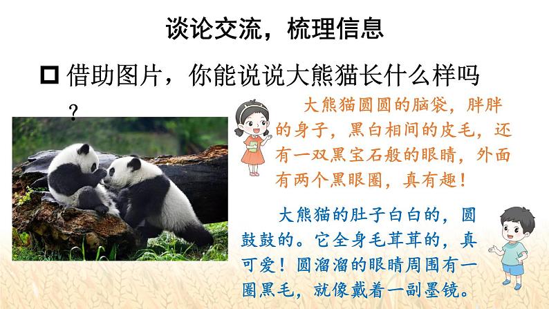 习作:国宝大熊猫第4页
