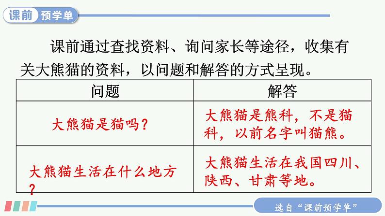 习作:国宝大熊猫第5页