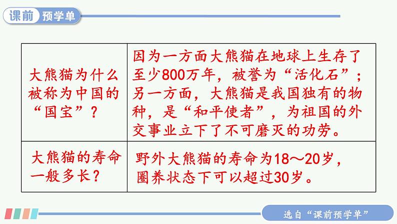 习作:国宝大熊猫第6页
