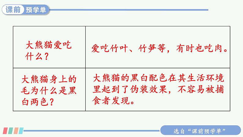 习作:国宝大熊猫第7页