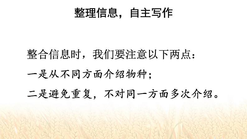 习作:国宝大熊猫第8页