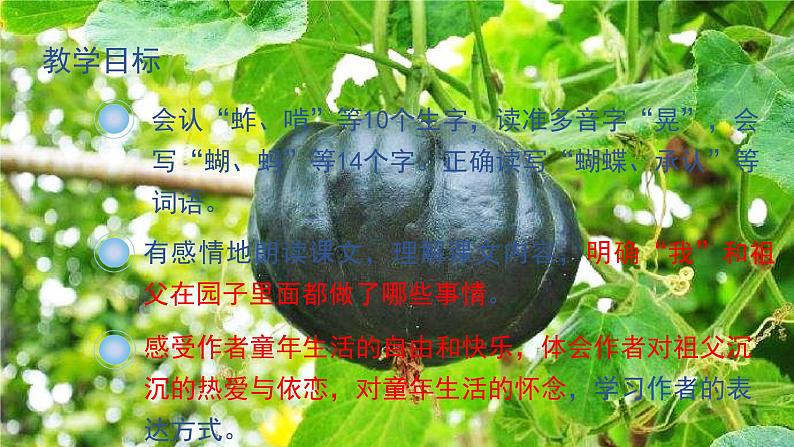 部编版五年级下册语文(教学课件)2 祖父的园子05