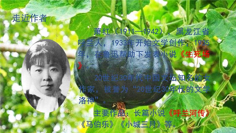 部编版五年级下册语文(教学课件)2 祖父的园子06