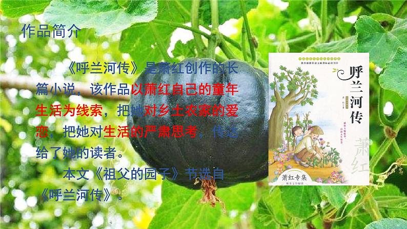部编版五年级下册语文(教学课件)2 祖父的园子07