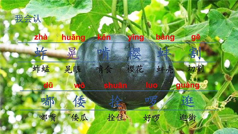 部编版五年级下册语文(教学课件)2 祖父的园子08