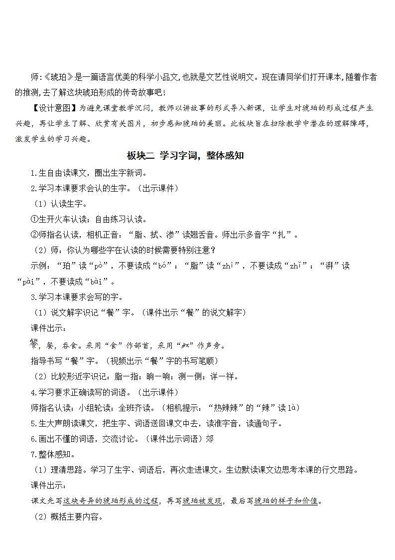 5 琥珀 课件+教案03