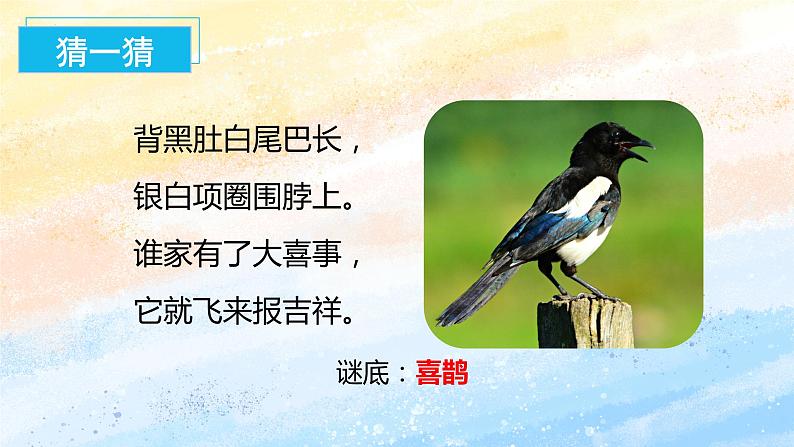 5.树和喜鹊(教学课件+教案+学习任务单+分层作业)一年级语文下册部编版03