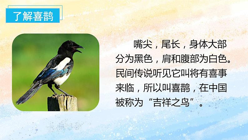 5.树和喜鹊(教学课件+教案+学习任务单+分层作业)一年级语文下册部编版04