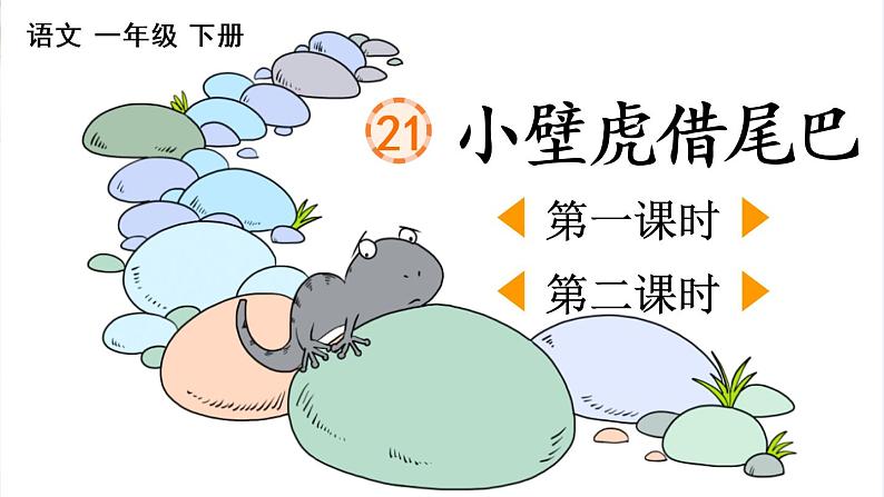 21 小壁虎借尾巴【优质版】第1页