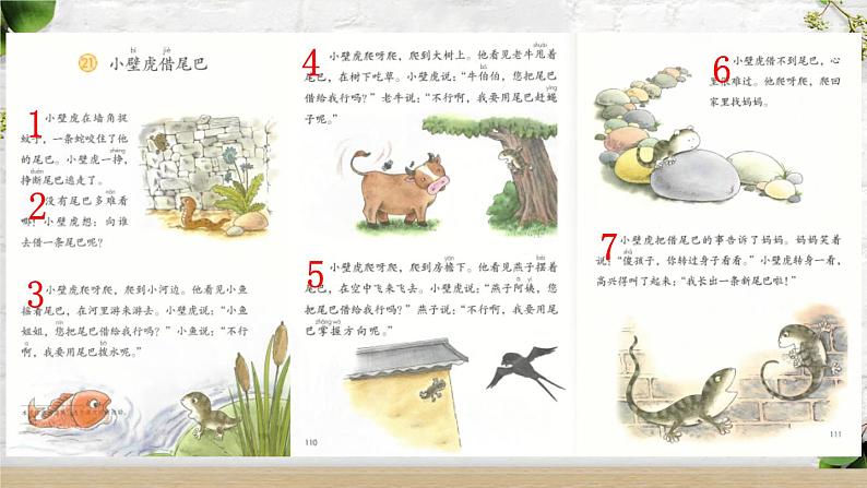 21 小壁虎借尾巴【优质版】第4页