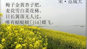人教部编版五年级下册四时田园杂兴（其三十一）课文配套ppt课件