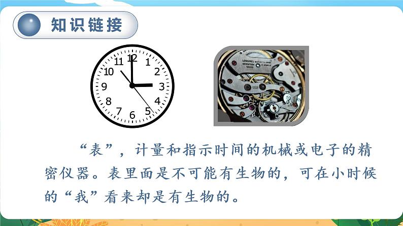 六语下(RJ) 第5单元 16.表里的生物 PPT课件+教案07