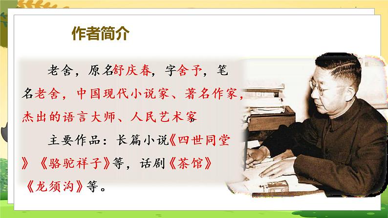 (教学课件)13.猫第4页