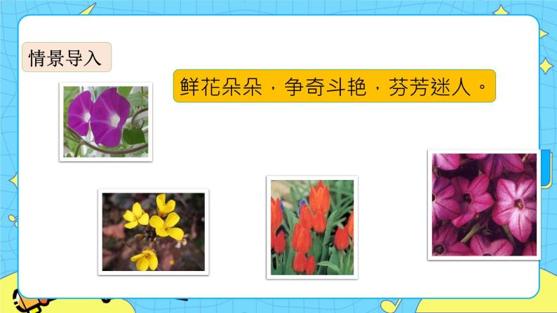 第四单元 13 花钟 课件＋教案＋素材03