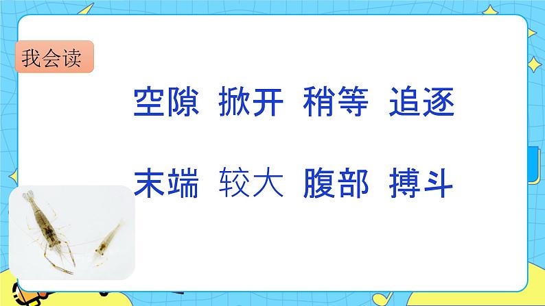 第四单元 15 小虾 课件+教案+素材04