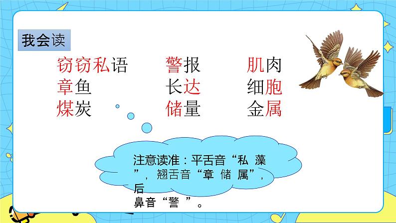 第七单元 23 海底世界 课件+教案+素材04