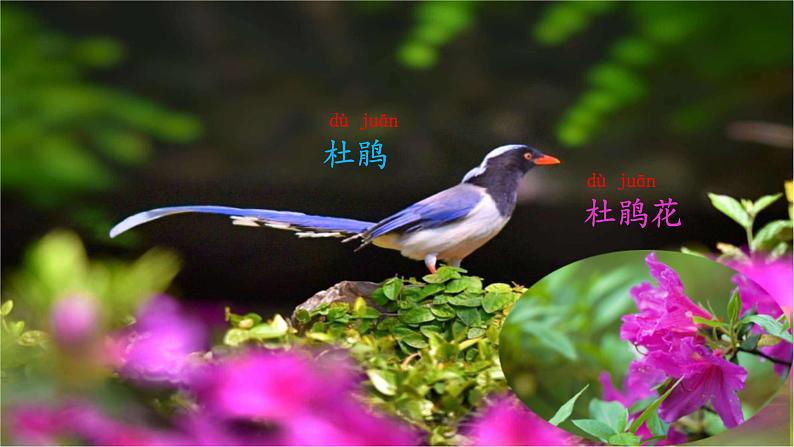 2.找春天:第二课时课件PPT第3页