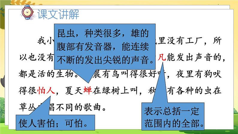 人教6语下 第5单元 16.表里的生物 PPT课件第6页