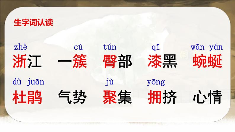 17 记金华的双龙洞(课件+教案+导学案+说课稿+课文朗读)05