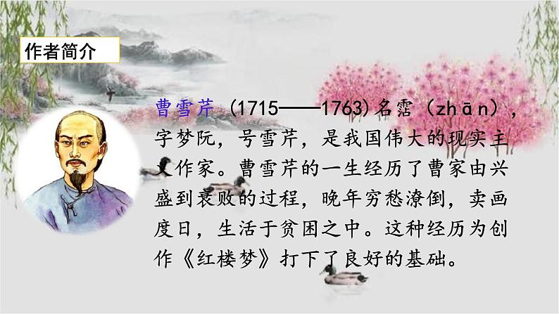 五下语文8红楼春趣课件PPT第3页