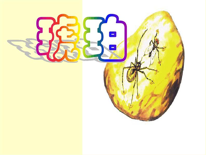 部编版四年级语文下册--5.琥珀(课件)02