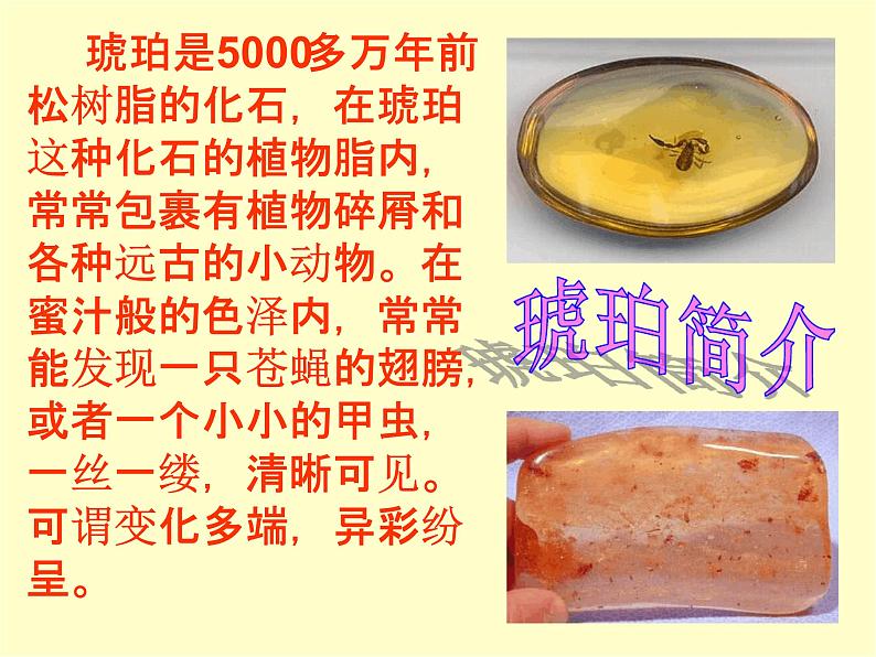 部编版四年级语文下册--5.琥珀(课件)03