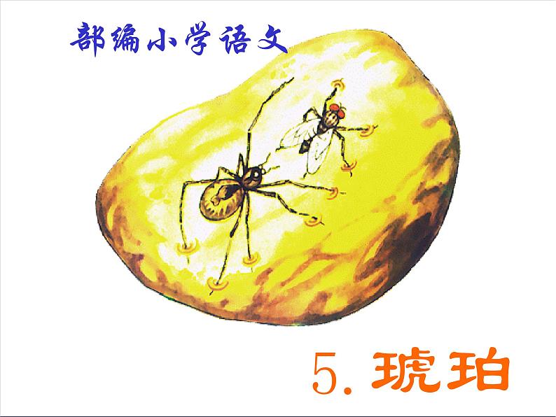 部编版四年级语文下册--5.琥珀(课件2)第1页