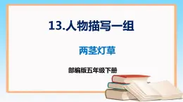 部编版五年级下册语文 13 《人物描写一组》 两茎灯草 （课件）