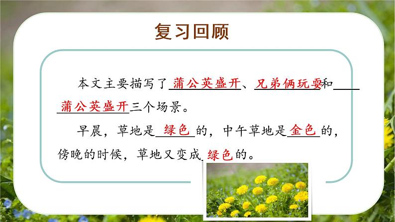 第16课《金色的草地》(第二课时)(课件)-三年级语文上册 部编版第2页