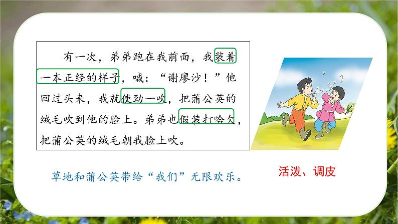 第16课《金色的草地》(第二课时)(课件)-三年级语文上册 部编版第7页