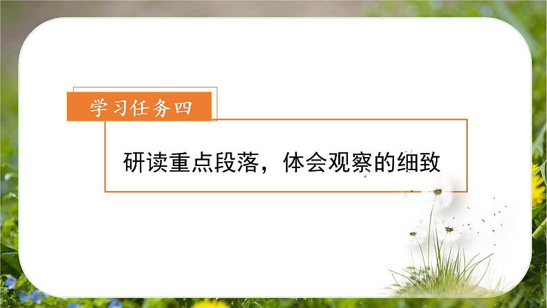 第16课《金色的草地》(第二课时)(课件)-三年级语文上册 部编版第8页