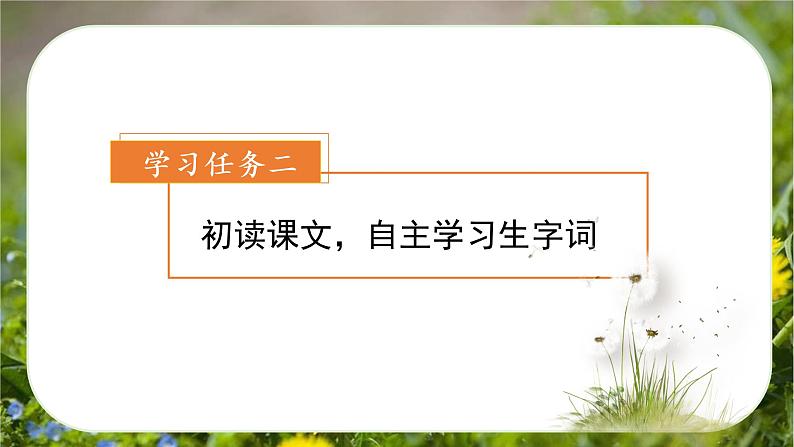 第16课《金色的草地》(第一课时)(课件)-三年级语文上册 部编版第7页