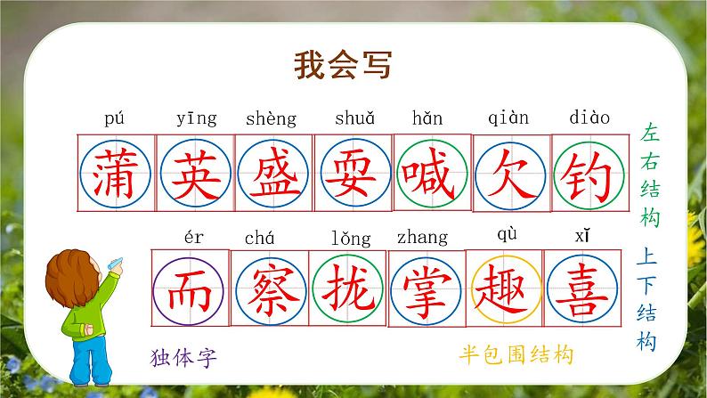 第16课《金色的草地》(第一课时)(课件)-三年级语文上册 部编版第8页