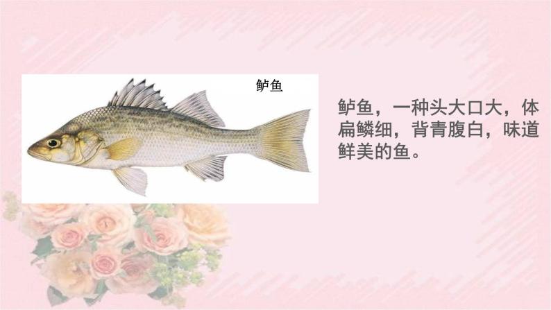 人教部编版语文六年级下册 古诗词诵读 5 江上渔者 课件07