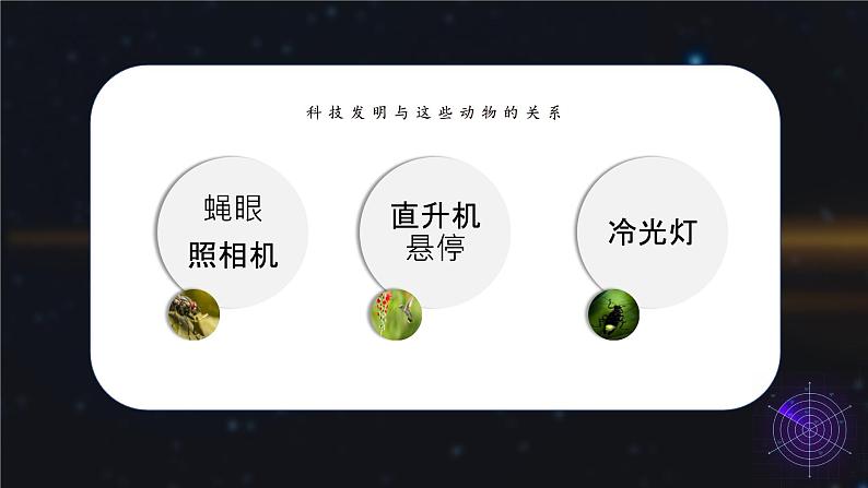 四年级语文上册部编版第6课《夜间飞行的秘密》第一课时(课件+教案+学案+练习)03