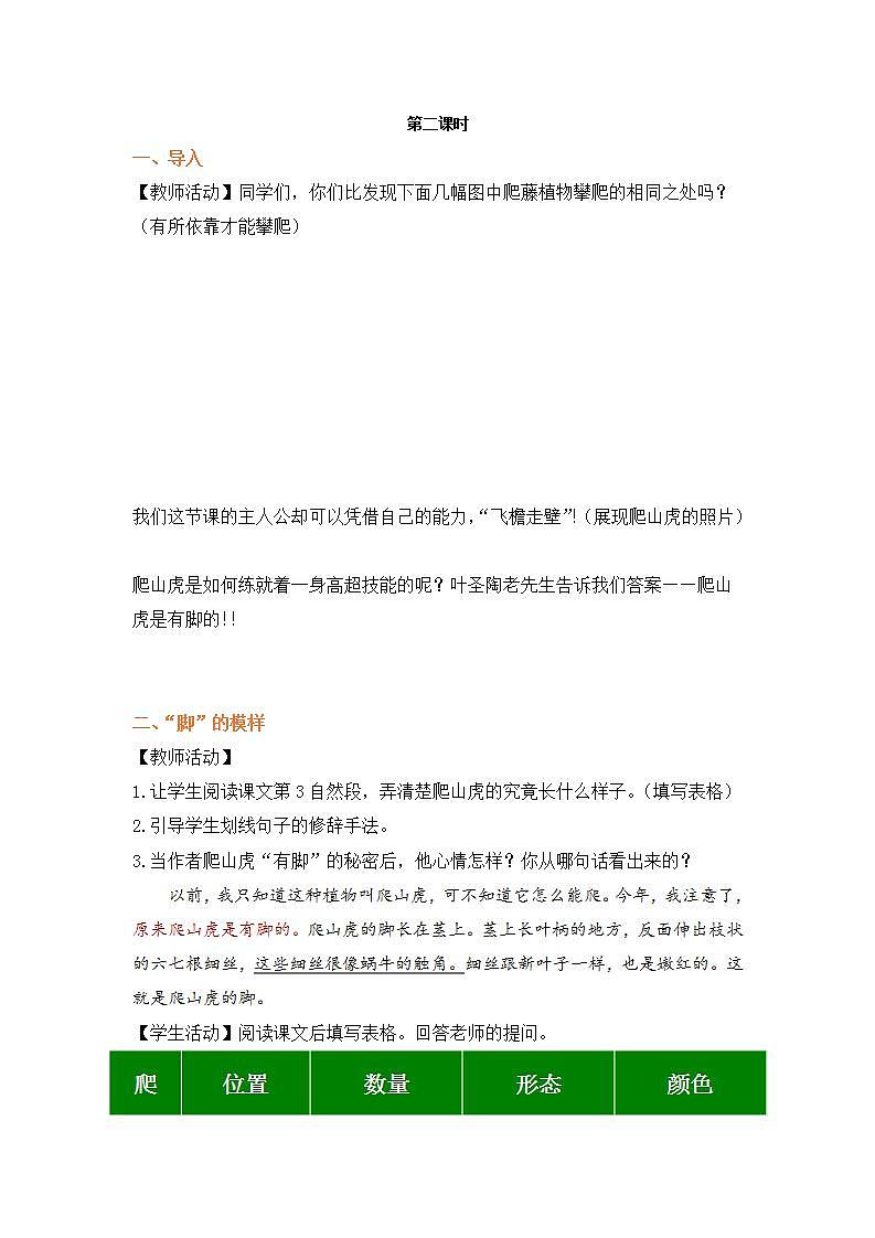 四年级语文上册部编版第10课·爬山虎的脚·第二课时(教学课件+教案+学案+练习)02
