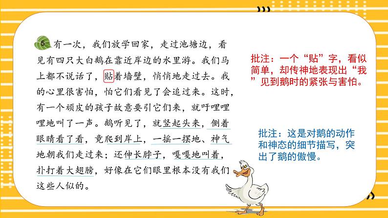 四年级语文上册部编版第18课《牛和鹅》(第二课时)(课件+教案+学案+练习)四年级语文上册 部编版07