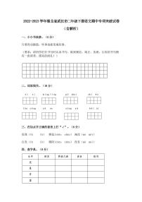 2022-2023学年湖北省武汉市二年级下册语文期中专项突破试卷（含解析）