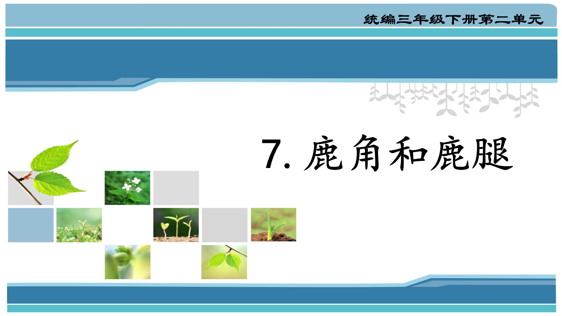 小学语文人教部编版三年级下册第二单元7 鹿角和鹿腿示范课ppt课件