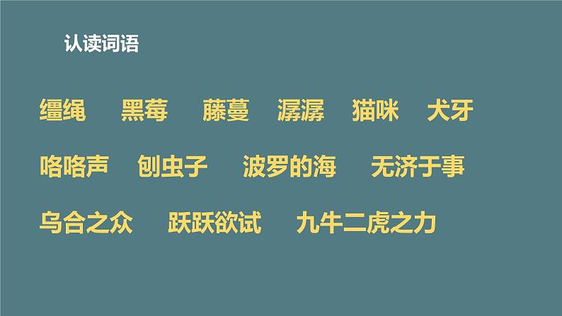 2023年春六年级语文部编版《骑鹅旅行记》(节选)课件PPT第6页