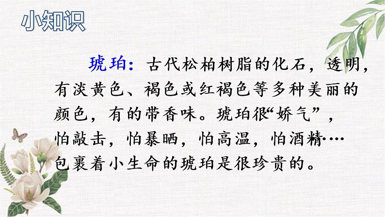 部编版小学语文四下琥珀PPT课件第3页