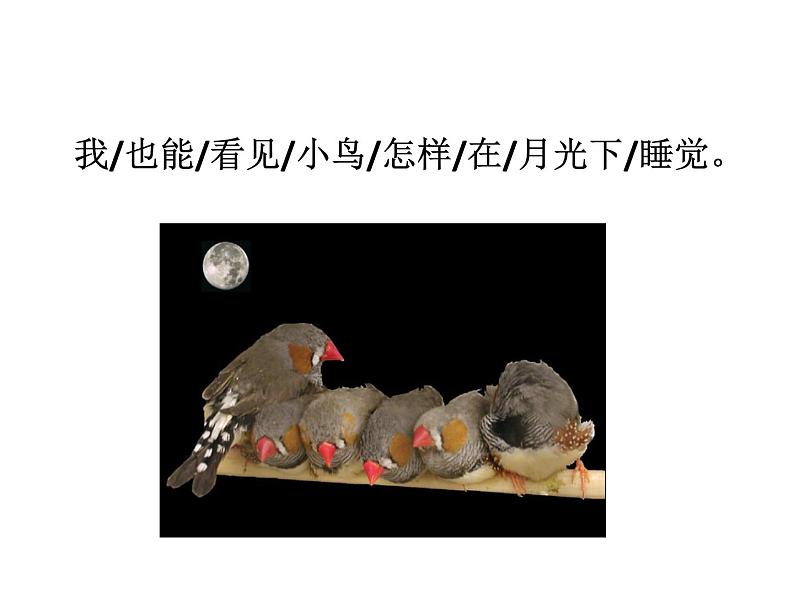 部编版一年级语文下册--9 夜色(精品课件)06